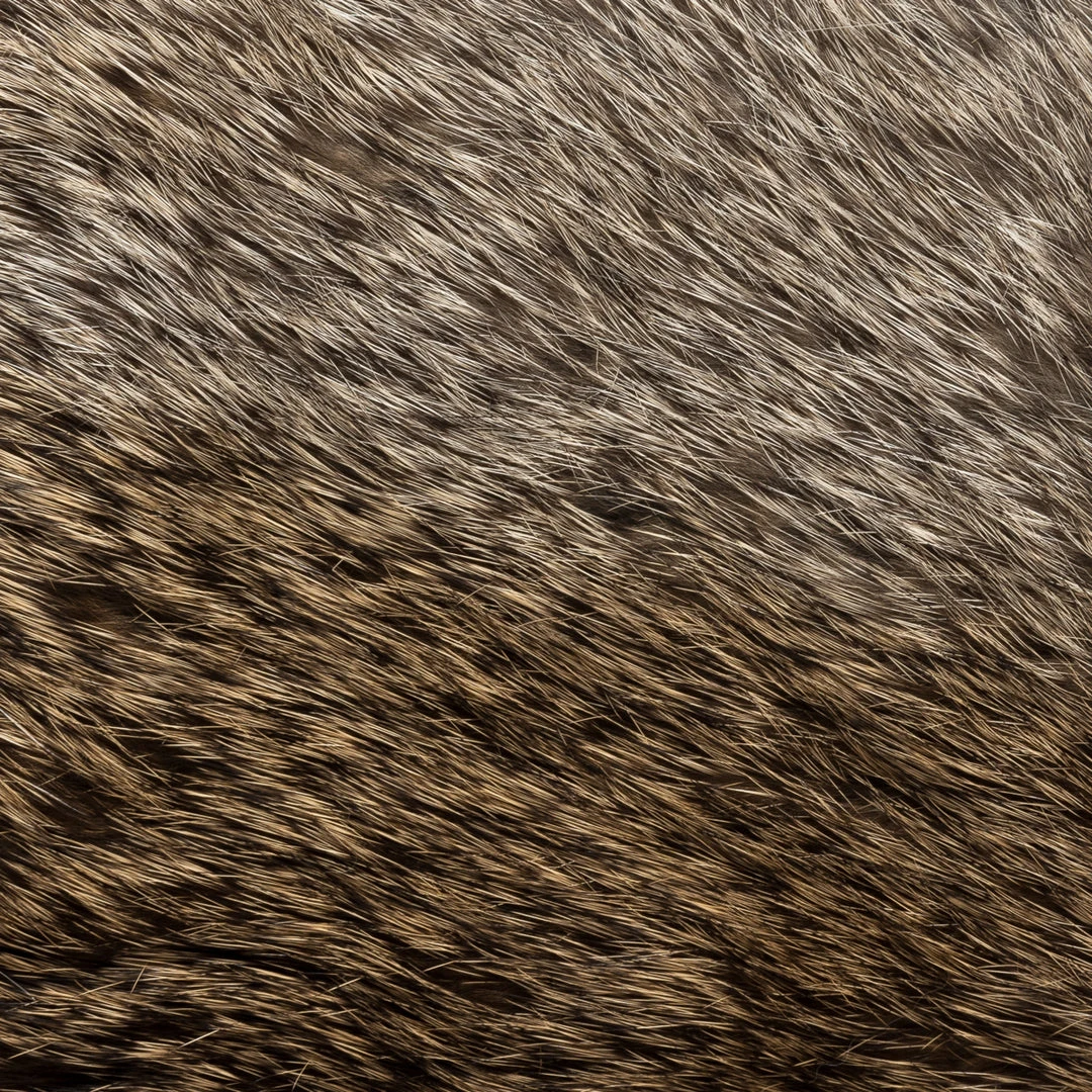 Fratelli Orsini Marco (brown) - Lambskin Leather Gloves With Brown Fur Lining 6 Fratelli Orsini Marco (brown) - Lambskin Leather Gloves With Brown Fur Lining